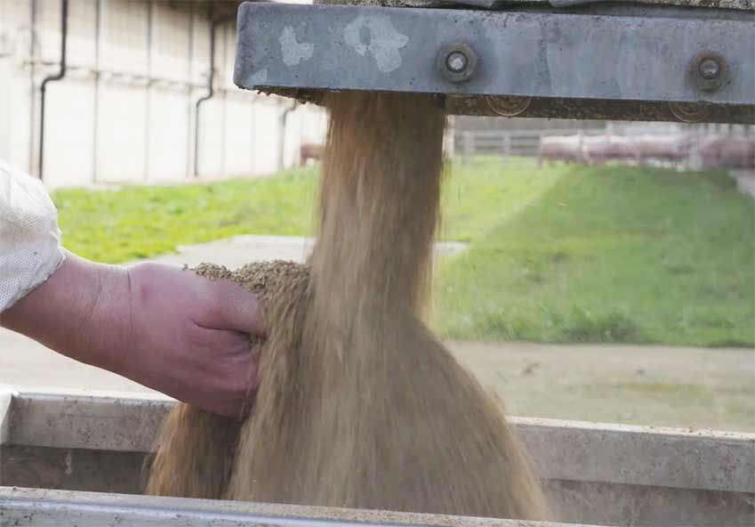 飼育プロダクションチェーンにおける飼料管理の重要性
